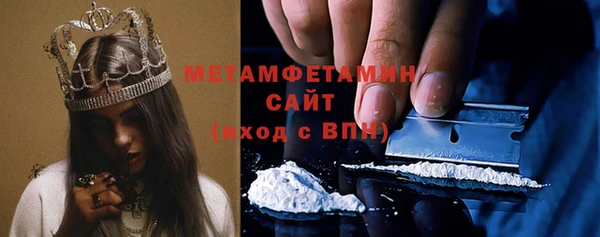 крисы Ельня