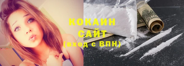 крисы Ельня