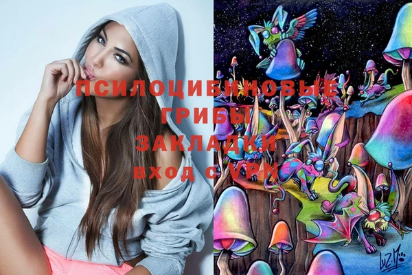 соль ск Елизово