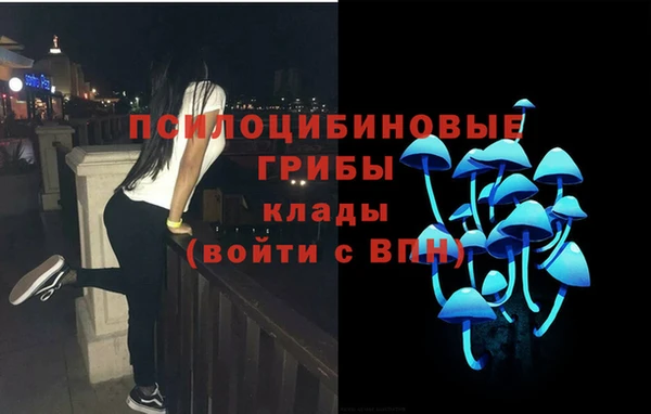крисы Ельня
