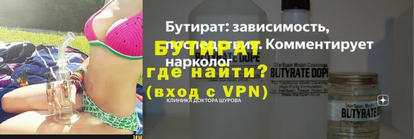 крисы Ельня
