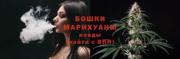 МДПВ Елабуга