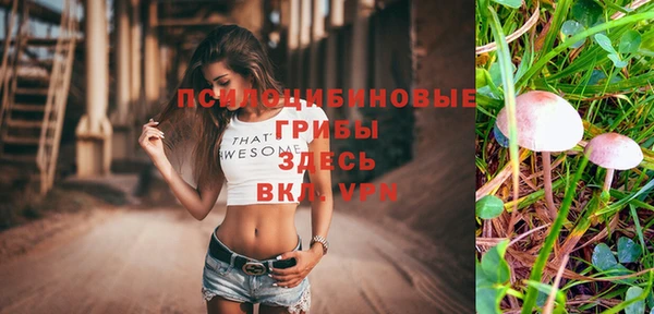 МДПВ Елабуга