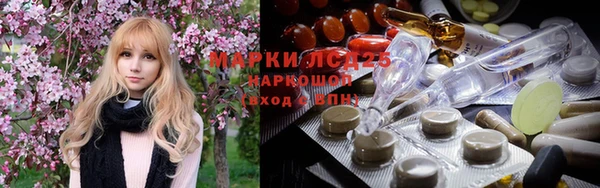 крисы Ельня