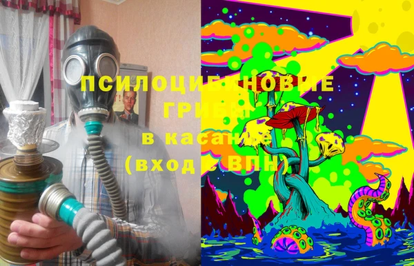 крисы Ельня
