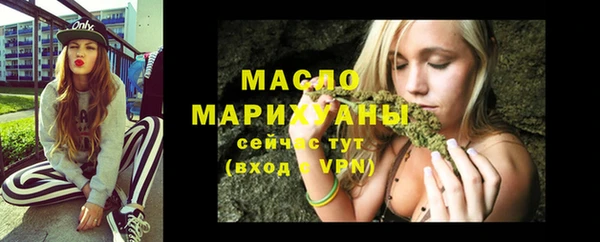 крисы Ельня