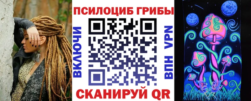 Псилоцибиновые грибы MAGIC MUSHROOMS  Купить закладки  Сухой Лог 